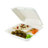 Lunchbox bagasse